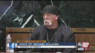 Hulk Hogan recounts humiliation caused by sex tape