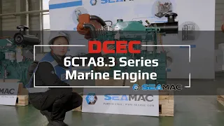 DCEC Cummins 6CTA8.3 series marine engine Introduction 2022 [Specifications and Scopes]