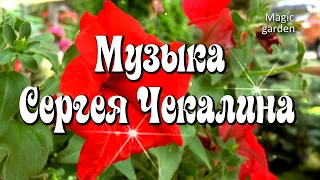 Волшебный сад и Музыка для души. Бархатный сезон - Сергей Чекалин