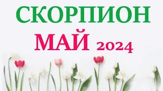 СКОРПИОН♏ МАЙ 2024 🚀 Прогноз на месяц таро расклад 👍Все знаки зодиака! 12 домов гороскопа!