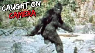 Unexplainable Bigfoot Sightings That PROVE It Exists