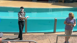 Mime Seaworld Dean (SEA LION & OTTER SPOTLIGHT PRE-SHOW)