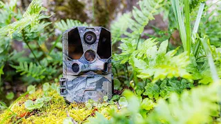 TRAIL CAMERA CEYOMUR CY65 - VIDEO REVIEW AND CONCLUSIONS