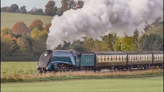 Steam Locomotives In The Autumn !