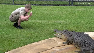 Never let your guard down near a croc | Robert Iwin | Australia Zoo