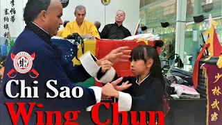 Wing Chun Chi Sao form  小念頭 詠春 Choreography Combination