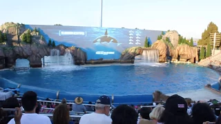 San Diego California. SeaWorld. Сан Диего Калифорния, Шоу Касаток. Июль 2017