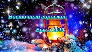 ВОСТОЧНЫЙ ГОРОСКОП 2019 - БЫК.
