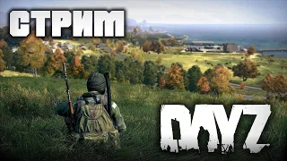 Стрим Dayz Первый взгляд  на RTX 4060 и i5 12400F |Dayz