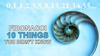 Fibonacci Numbers: 10 Amazing Facts You Didn't Know