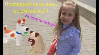 Последний день во втором классе/ Новые игрушки в макдональдс/Secret Life of Pets 2 McDonald's toys