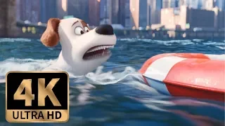 The Secret Life of Pets (2016) - Max Drowning Scene (5/10)