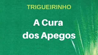 Trigueirinho | A Cura dos Apegos