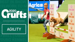 YKC Agility Dog of the Year | ​Crufts 2020