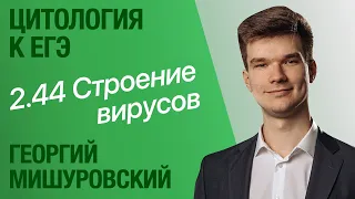 2.44. Строение вирусов и бактериофаги | Цитология к ЕГЭ | Георгий Мишуровский