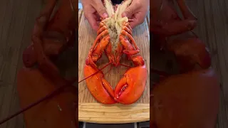 I had Smoked Lobster for Breakfast!