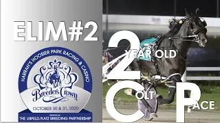 2020 Breeders Crown Elim#2 - Perfect Sting - 2CP