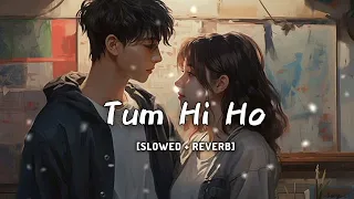 TU HI HOSONG (SLOWED+REVERB) #song