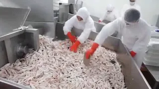 Sabnego Chicken Feet and Production