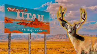 Utah Archery Mule Deer Hunt 2023