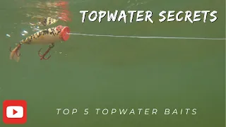 Top 5 Topwater Baits to Catch More Bass