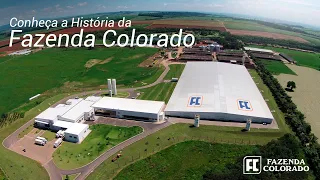 Leite Xandô produzido na Fazenda Colorado