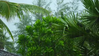 Rain falls in the tropical forest 🌧️ The sound of natural rain heals your soul