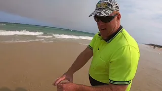 Professional beachworm tips