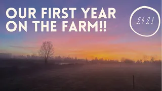 Our first year farming our small holding in Ireland