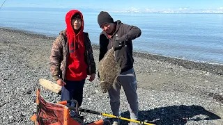 Alaska Halibut fishing from shore?