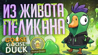 Я СБЕЖАЛ ИЗ ЖИВОТА ПЕЛИКАНА, И ЭТО ИЗМЕНИЛО ИГРУ — Goose Goose Duck // ВЕСЁЛАЯ НАРЕЗКА