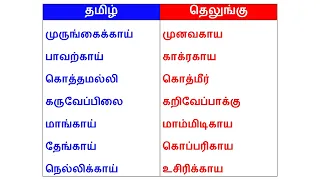 👍04 Spoken Telugu through Tamil | Spoken Telugu in Tamil | Happy To Teach🙏