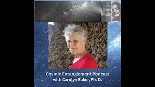 Humanity's Rite of Passage with Carolyn Baker, Ph. D.  - Ep. 8