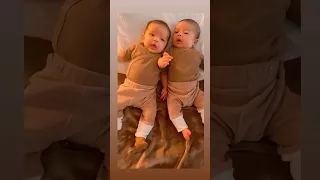 cute little twins sneezing #baby #twins #cute #