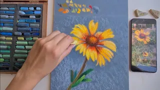 Как рисовать цветок сухой пастелью / how to draw a flower with soft pastel