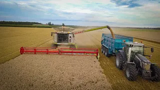 🇫🇷 Moisson 2021 - CLAAS LEXION 770 - GPS TRIMBLE