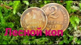 Лесной коп! Как он есть. Коп с XP Deus.