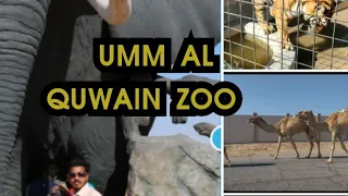 Hidden zoo in Umm al Quwain /Wildlife park /Must visit place In UAE.