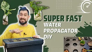 Upscale Your Water Propagation | Watch me struggle with DIY 😅 | Bubbler Propagation Box | Plant DIY