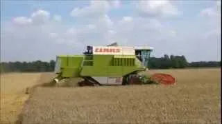 Barley Harvest 2013 Claas Dominator 98SL with Cab View