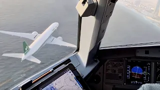 Plane Flies Too Close