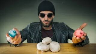 J'ai testé les CHAMPIGNONS HALLUCINOGÈNES ! (le remède de demain ?)