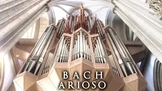 JS BACH - ARIOSO - THE ORGAN OF ST LAMBERTI, MÜNSTER, GERMANY - JONATHAN SCOTT