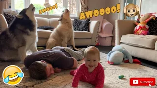 Pretending To Faint In Front Of My Dogs And Baby! (Cutest Reactions Ever!!)