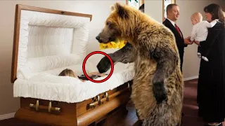 She Was About to Get Buried But A Bear Suddenly Stops the Funeral, What Happened Next is Bizarre!