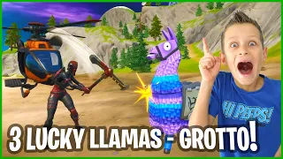 3 LUCKY LLAMAS FROM THE GROTTO!