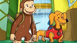 Curious George 🐵Camping with Hundley 🐵Full Episode 🐵 HD 🐵 Videos For Kids