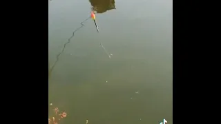 Новый способ ловли рыбы!!ЭТО 🤯 самоподсекающий поплавок