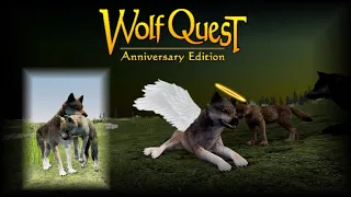 Saying Goodbye to my Elder Ironwolf #wolfquest