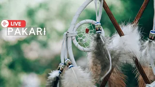 Pakari - Music that unites us🌎🌍🌏/Native flutes